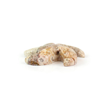 Soapstone Sea Star